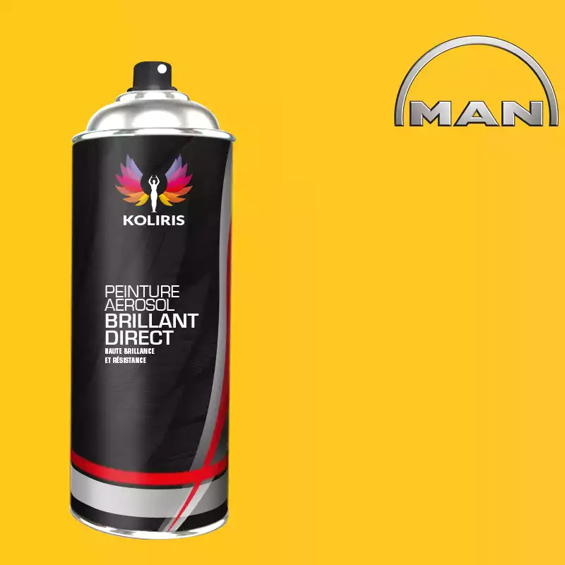 Bombe de peinture utilitaire 1K brillant Man 400ml